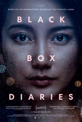 BLACK BOX DIARIES