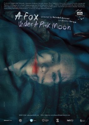 MENF 2026 - A Fox Under a Pink Moon